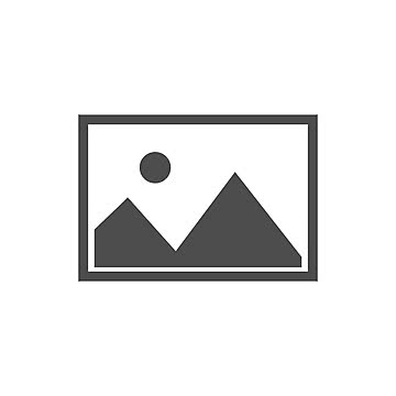 Master craftsman at work